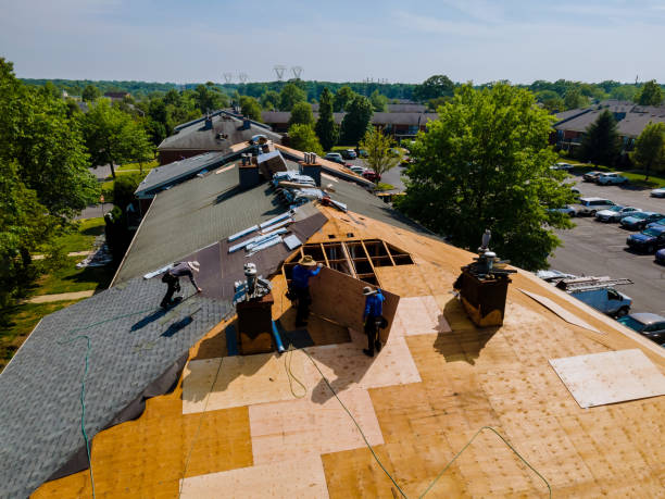 Best Flat Roof Repair Services  in Oak Park, MI
