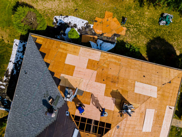 Best Local Roofing Companies  in Oak Park, MI