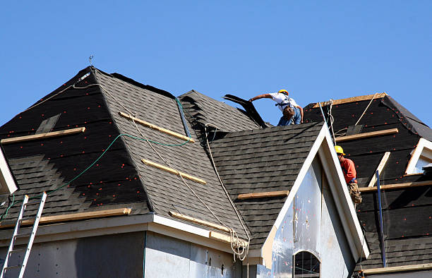 Best Roof Repair Services  in Oak Park, MI